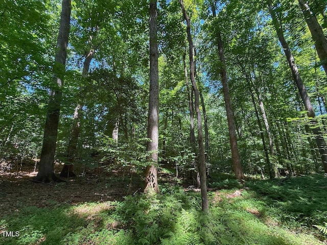 2216 Woodnell Dr, Raleigh, NC 27603 - photo 34
