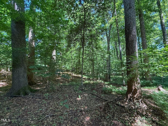 2216 Woodnell Dr, Raleigh, NC 27603 - photo 35
