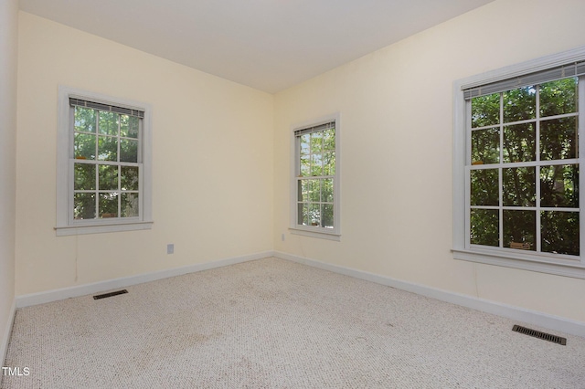 23 Lauren Ct, Pittsboro, NC 27312 - spare room featuring carpet floors and plenty of natural light