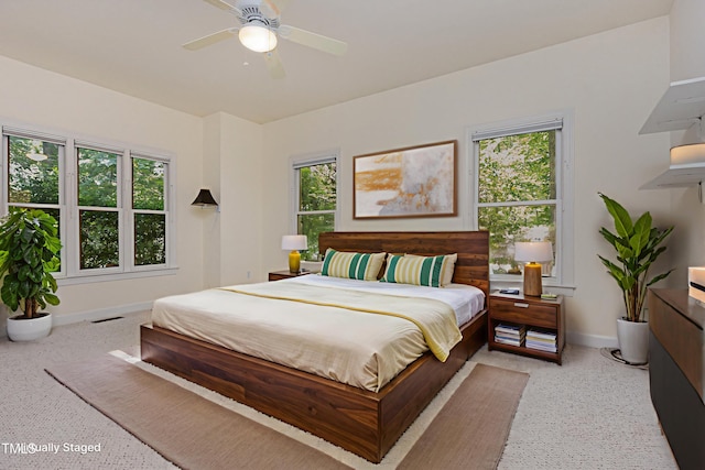 23 Lauren Ct, Pittsboro, NC 27312 - bedroom with multiple windows and a ceiling fan