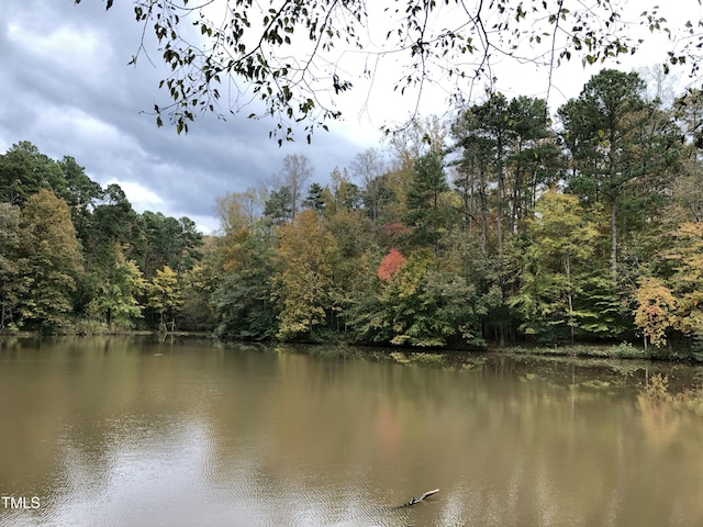 23 Lauren Ct, Pittsboro, NC 27312 - water view with a forest