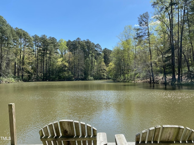 23 Lauren Ct, Pittsboro, NC 27312 - dock with a water view