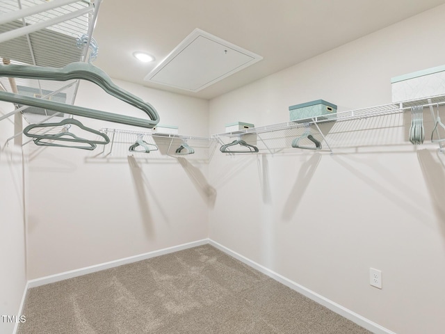 2295 Cherry Creek Rd, Haw River, NC 27258 - spacious closet with attic access and carpet