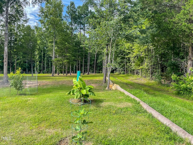 1150 Rougemont Rd, Rougemont, NC 27572