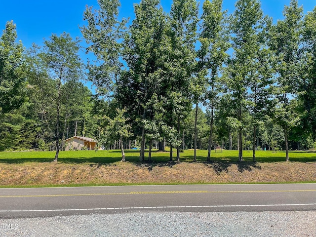 1150 Rougemont Rd, Rougemont, NC 27572