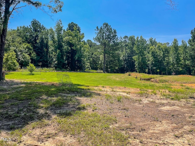 1150 Rougemont Rd, Rougemont, NC 27572