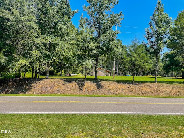 1150 Rougemont Rd, Rougemont, NC 27572