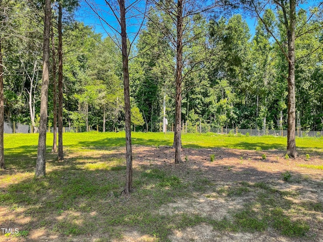 1150 Rougemont Rd, Rougemont, NC 27572