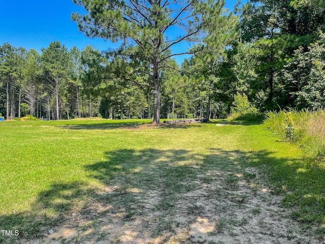 1150 Rougemont Rd, Rougemont, NC 27572
