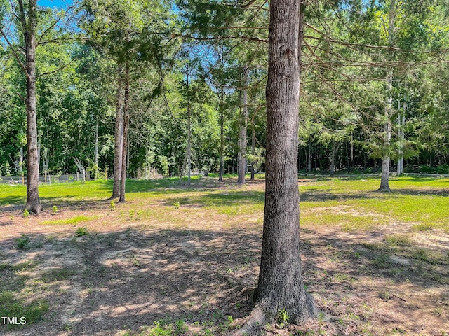 1150 Rougemont Rd, Rougemont, NC 27572