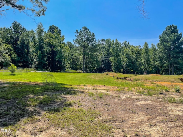 1150 Rougemont Rd, Rougemont, NC 27572