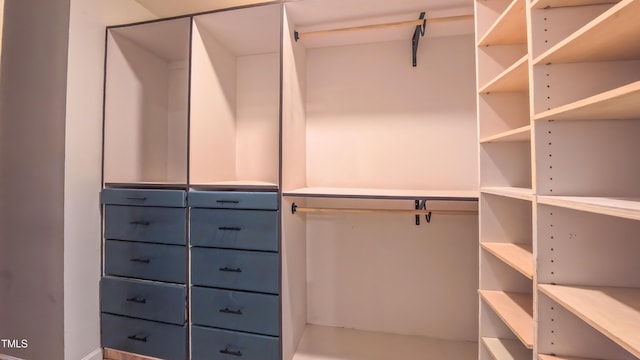 67 Red Cedar Way, Fuquay Varina, NC 27526 - view of spacious closet