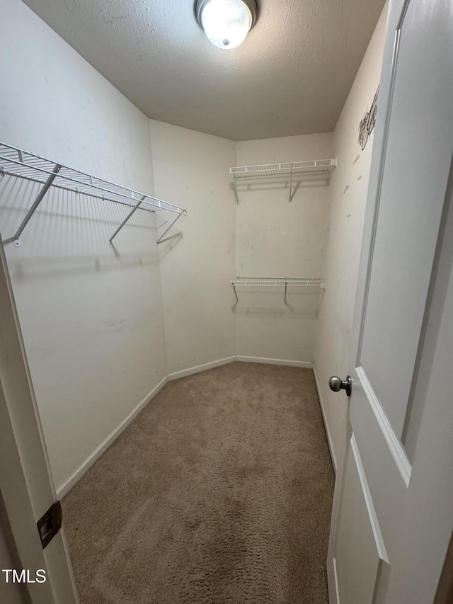 1617 Friendly Rd, Dunn, NC 28334 - walk in closet featuring carpet flooring