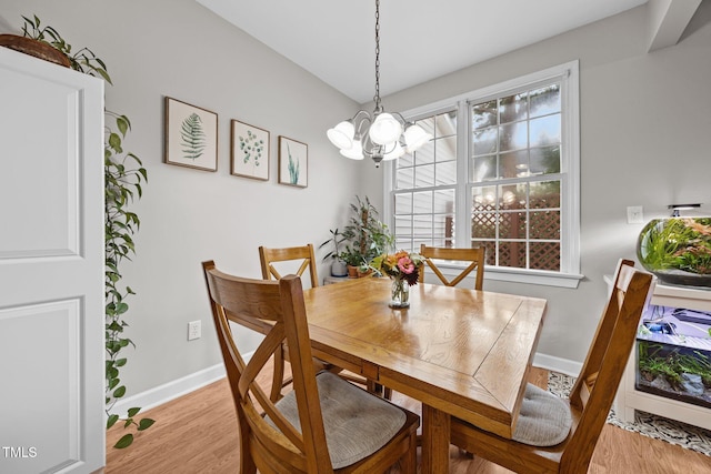 5565 Sea Daisy Dr, Raleigh, NC 27606 - photo 10