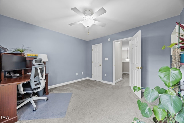 5565 Sea Daisy Dr, Raleigh, NC 27606 - photo 16