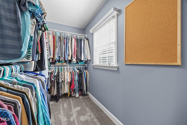 5565 Sea Daisy Dr, Raleigh, NC 27606 - photo 23
