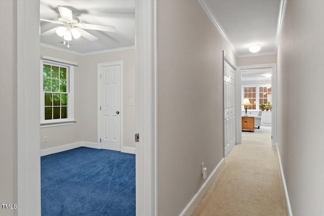 12329 Whartons Way, Raleigh, NC 27613 - hall with carpet flooring and ornamental molding