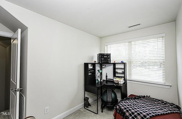 133 Nortwick Rd, Rolesville, NC 27571 - photo 32