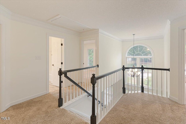 116 Modena Dr, Cary, NC 27513 - photo 43