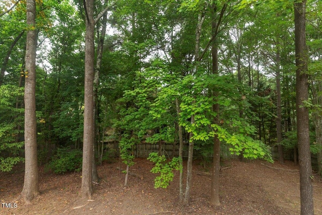 116 Modena Dr, Cary, NC 27513 - photo 48