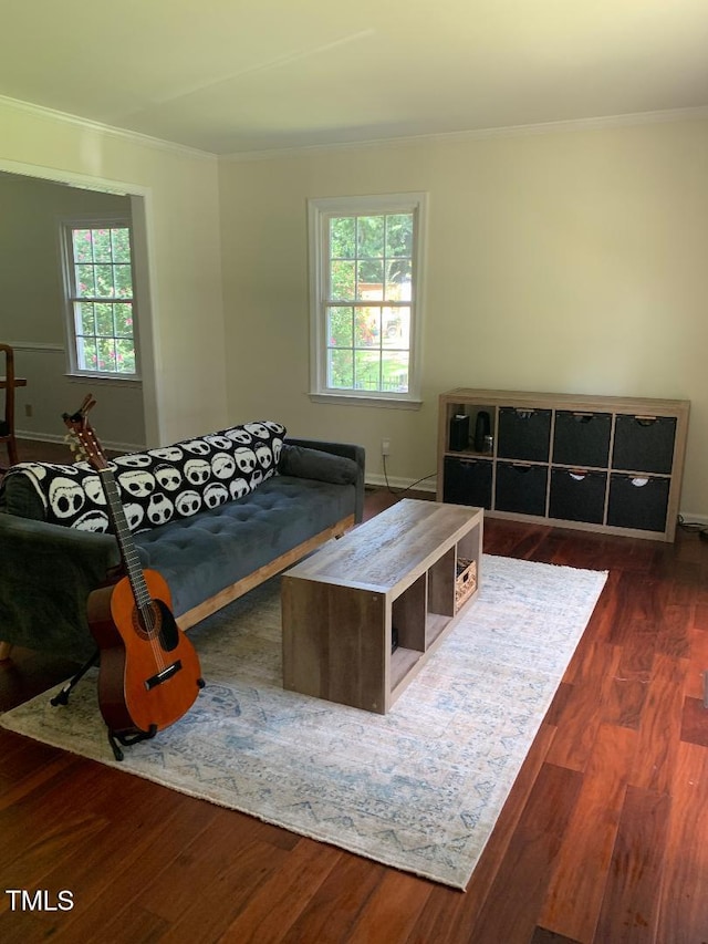 138 Dorsey Pl, Henderson, NC 27536 - living room with crown molding and dark wood-type flooring