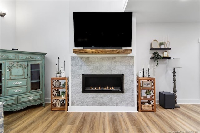 412 Stable Ct, Linden, NC 28356 - living room featuring wood finished floors and a tiled fireplace