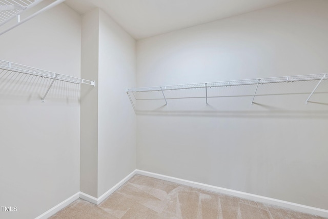 308 Minton Valley Ln, Cary, NC 27519 - walk in closet featuring carpet