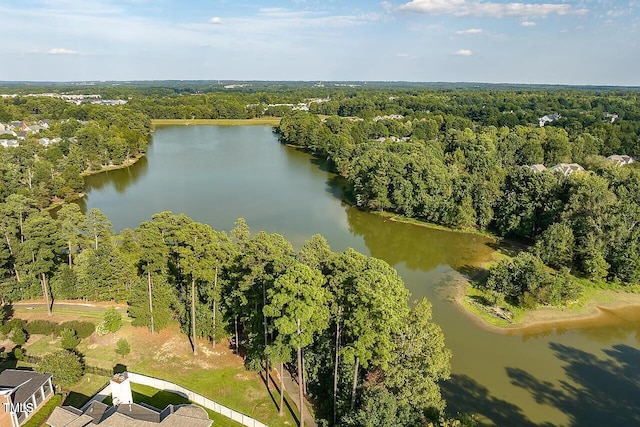 308 Minton Valley Ln, Cary, NC 27519 - bird's eye view of a forest and a nearby body of water