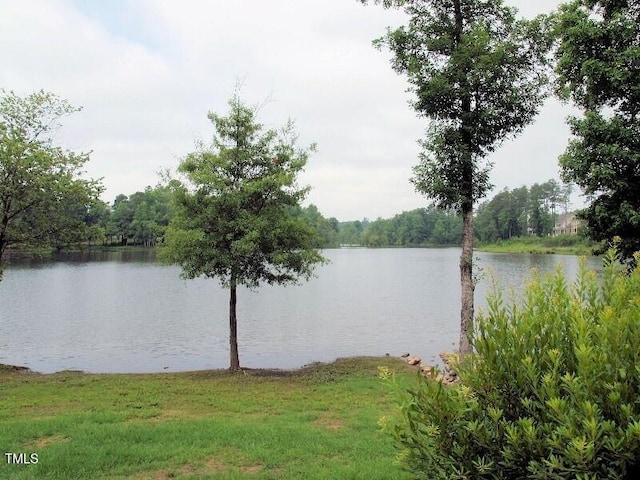 308 Minton Valley Ln, Cary, NC 27519 - water view