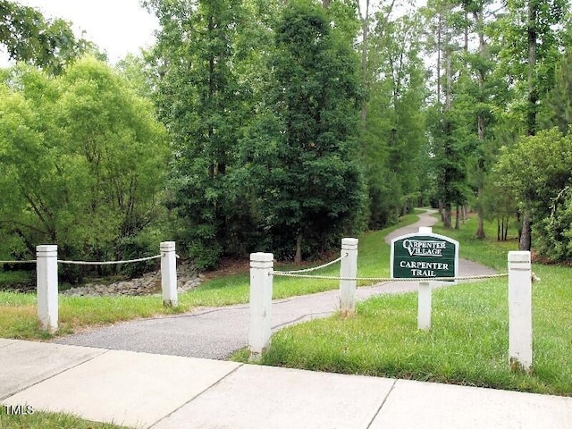 308 Minton Valley Ln, Cary, NC 27519 - view of street