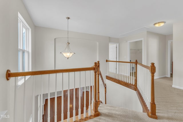 2801 Casona Way, Raleigh, NC 27616 - staircase featuring attic access and carpet flooring