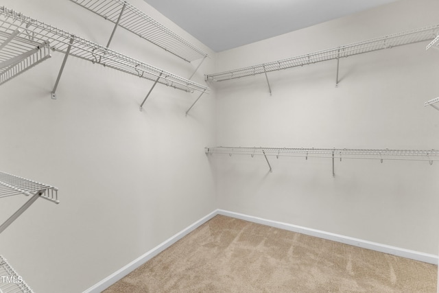 2801 Casona Way, Raleigh, NC 27616 - spacious closet featuring light carpet