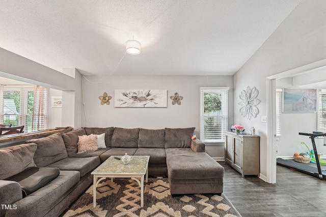 307 Wax Myrtle Ct, Cary, NC 27513 - living room with vaulted ceiling, dark wood finished floors, and a textured ceiling