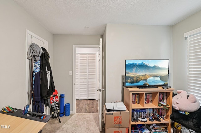 307 Wax Myrtle Ct, Cary, NC 27513 - rec room with carpet and a textured ceiling