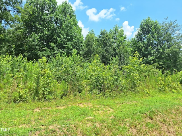 0 Carver St, Franklinton, NC 27525 - photo 5