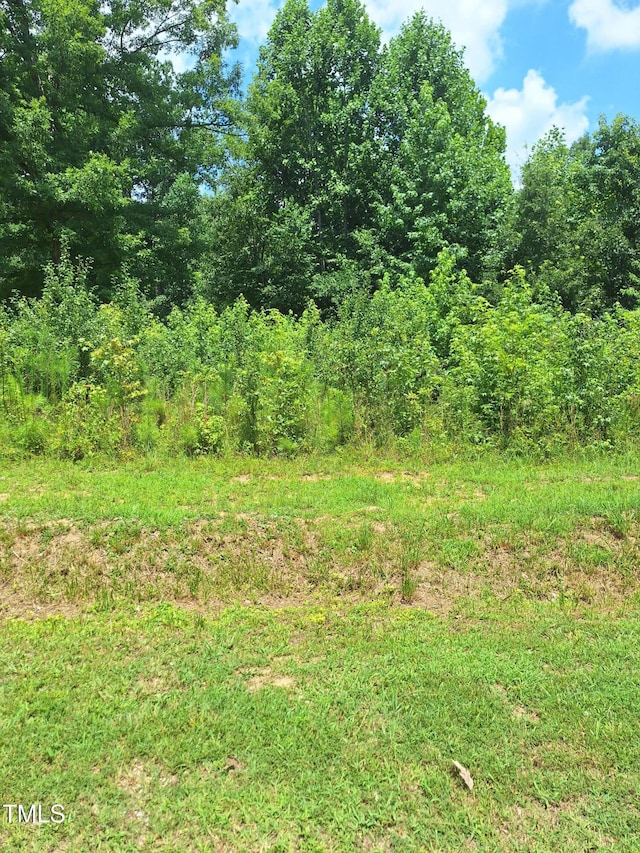 0 Carver St, Franklinton, NC 27525 - photo 4
