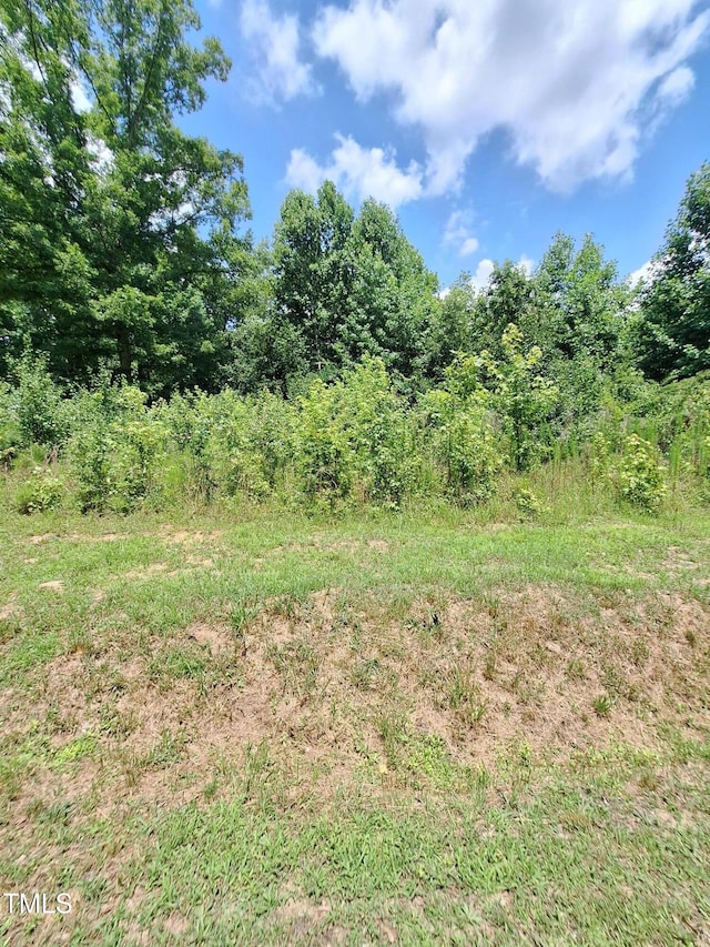 0 Carver St, Franklinton, NC 27525 - photo 6