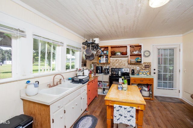 7167 Adolph Rd, Bailey, NC 27807 - kitchen with electric range, open shelves, dark wood-type flooring, crown molding, and tasteful backsplash