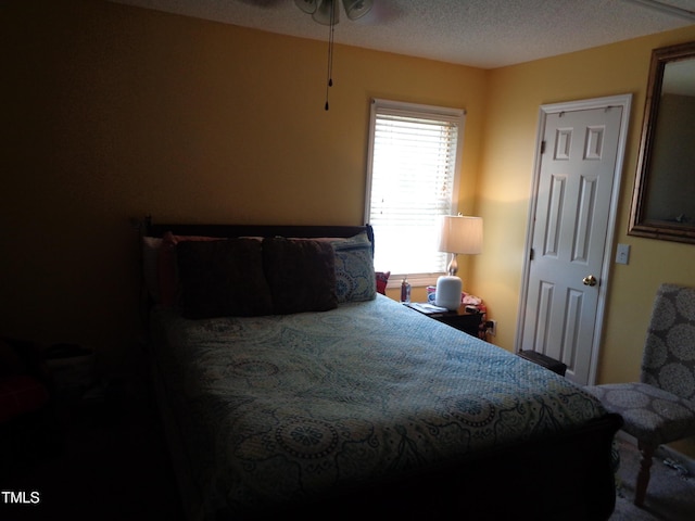 3419 Streams Of Fields Dr, Raleigh, NC 27604 - view of bedroom