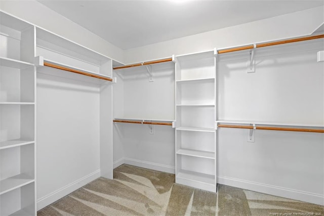 17 Tanawha Ct, Spring Lake, NC 28390 - walk in closet with carpet flooring