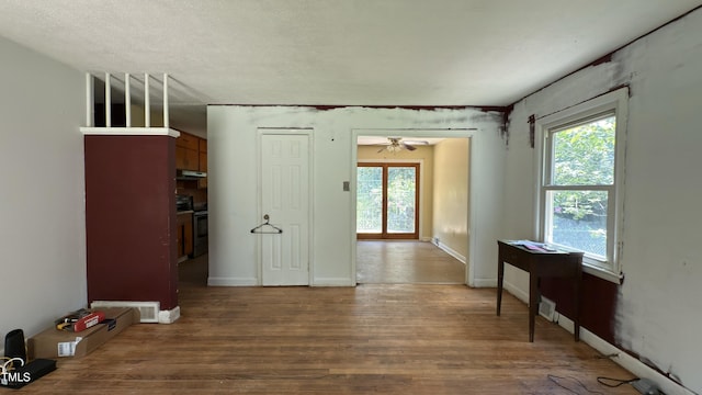 323 Old Haw Creek Rd, Asheville, NC 28805 - photo 4