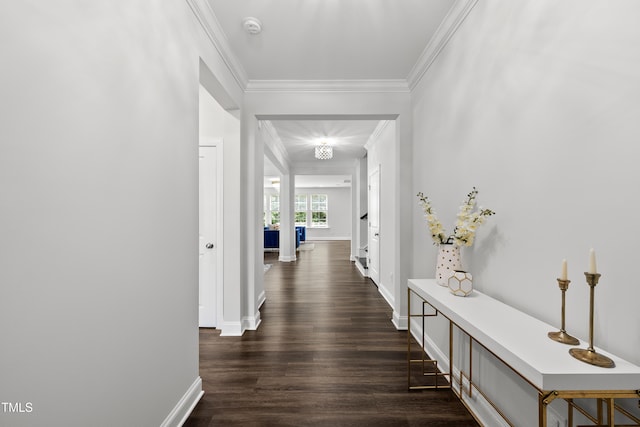1705 Pointe Xing, Apex, NC 27523 - corridor with crown molding and dark wood finished floors