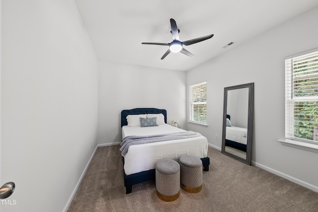 1705 Pointe Xing, Apex, NC 27523 - bedroom with multiple windows, carpet, and ceiling fan