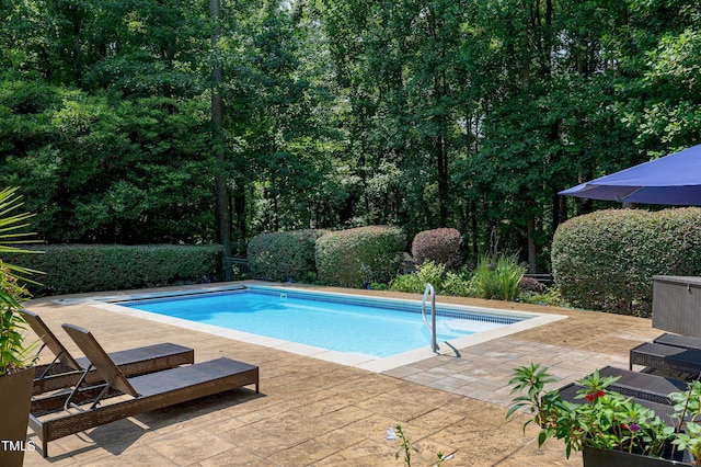 3740 Westbury Lake Dr, Raleigh, NC 27603 - photo 61