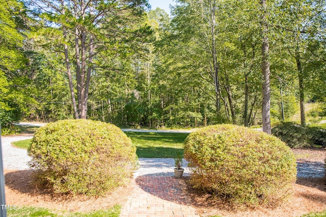70 Sand Trap Ln, Roxboro, NC 27574 - surrounding community