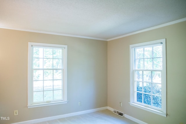 70 Sand Trap Ln, Roxboro, NC 27574 - empty room featuring ornamental molding, plenty of natural light, light carpet, and a textured ceiling