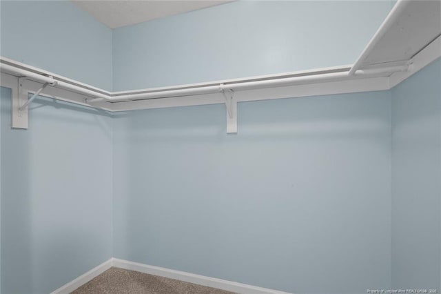 3464 Mcchoen Dr, Fayetteville, NC 28311 - spacious closet featuring carpet floors