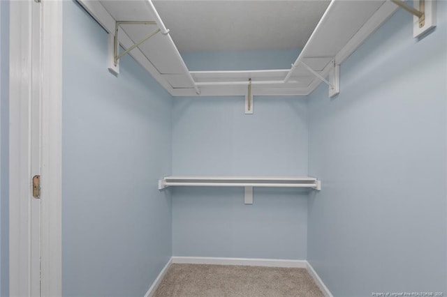 3464 Mcchoen Dr, Fayetteville, NC 28311 - walk in closet featuring carpet flooring