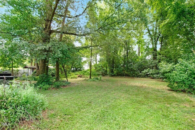 308 Spring Creek Rd, Goldsboro, NC 27534 - view of green lawn