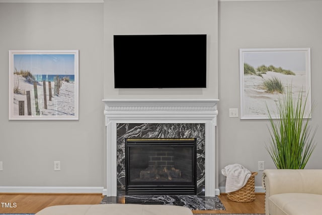 1802 Abby Knoll Dr, Apex, NC 27502 - detailed view of wood finished floors and a premium fireplace